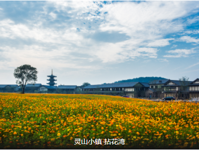 苏州出发团建一日：网红点<无锡1日>览拈花湾日夜全景（日赏花、夜赏水幕灯光show亮塔仪式）（企业团队春游/秋游）