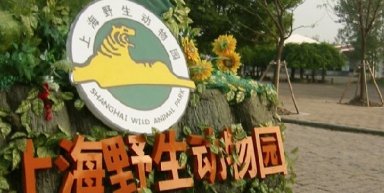 苏州出发团建一日：上海野生动物园·大马戏一日游（企业团体单位春游/秋游）