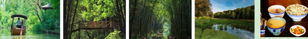 苏州同里湖湿地公园团建一日游